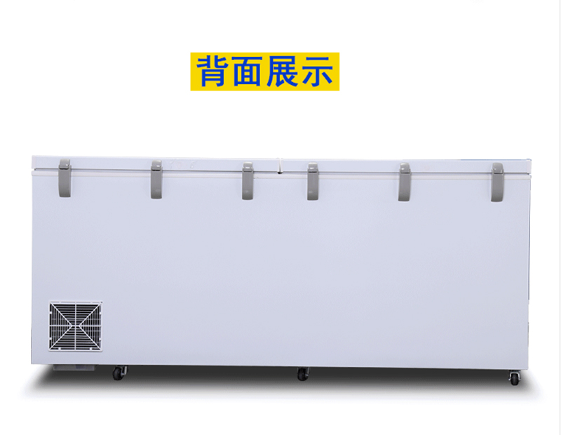 黄A无码片内射无码视频